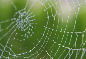 ©2013-09-13 Freitag der Dreizehnte_3