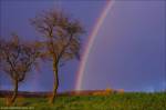 ©Ein Regenbogen nur für&nbsp;mich!_45