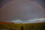 ©Ein Regenbogen nur für&nbsp;mich!_48
