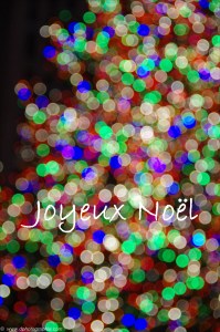 ©2014-12-07_13 New York, New York_0080