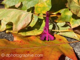 (c) Octobre Rose 2015