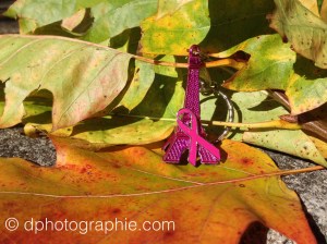 (c) Octobre Rose 2015