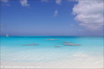 ©10_03 Columbus Isle - Bahamas_0170