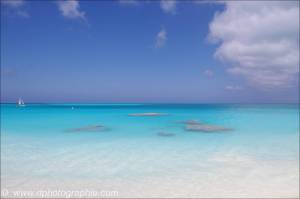 ©10_03 Columbus Isle - Bahamas_0170