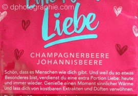 Eine Portion Liebe (2)